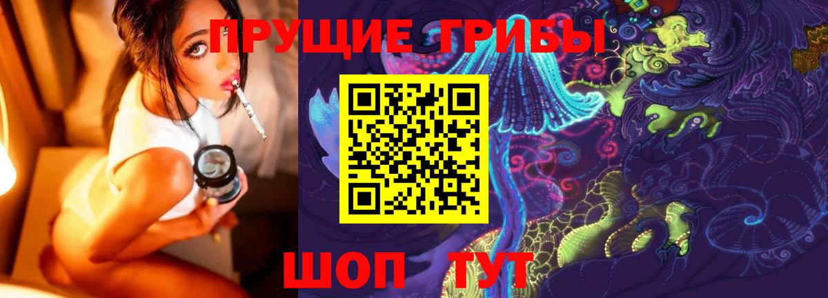 закладки  Галлюциногенные грибы Psilocybe  Вход с VPN  Фрязино 